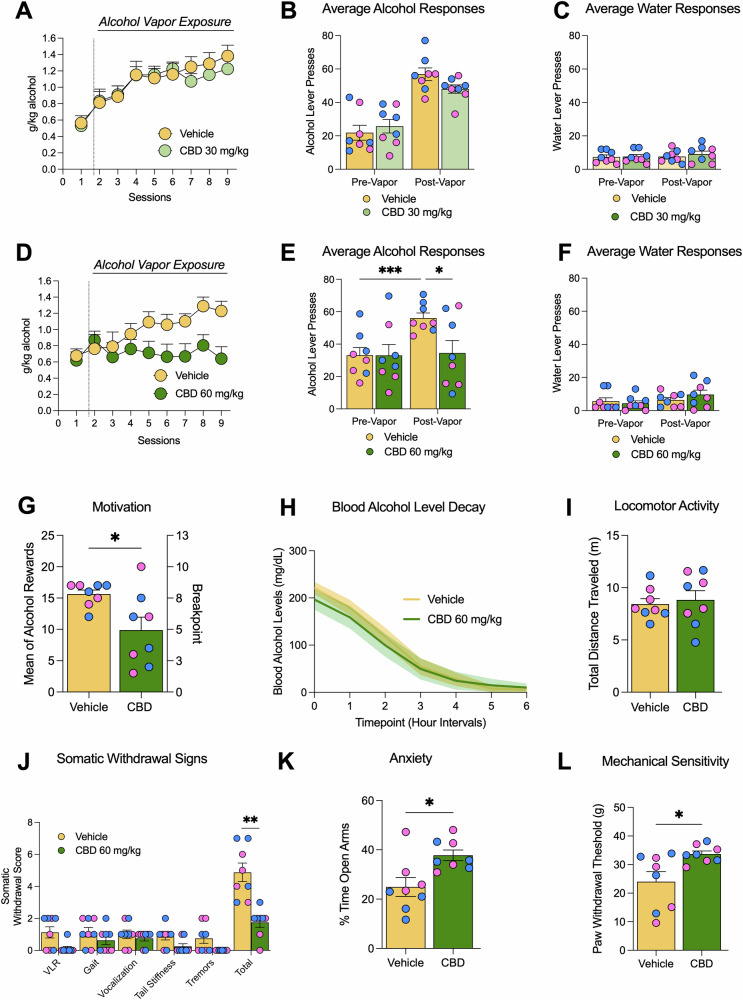 Effects of CBD on alcohol-related behaviors in alcohol dependent rats.A Time course of alcohol self-administration with CBD (30 mg/kg; green) or vehicle (yellow) during CIE exposure; two-way repeated measures ANOVA: significant time effect (F(5.248, 73.48) = 11.02, p < 0.001), no treatment or interaction effects. B Average responses in the alcohol-paired lever in the last 3 days pre- and post-vapor with CBD (30 mg/kg); two-way ANOVA: significant vapor effect (F(1,15) = 66.68, p < 0.0001). C Average responses in the water-paired lever in the last 3 days pre- and post-vapor with CBD (30 mg/kg). D Time course with CBD (60 mg/kg); two-way repeated measures ANOVA: significant time × treatment interaction (F(8,112) = 2.301, p = 0.0254). E Average responses in the alcohol-paired lever in the last 3 days pre- and post-vapor with CBD (60 mg/kg); two-way ANOVA: significant vapor × treatment interaction (F(1,14) = 7.198, p = 0.0178), Holm-Sidak post-hoc: vehicle escalation (p = 0.0003 vs. pre-vapor), blocked by CBD (p = 0.0059 vs. vehicle). F Average responses in the water-paired lever in the last 3 days pre- and post-vapor with CBD (60 mg/kg). G Progressive ratio breakpoint; unpaired t-test: t = 2.635, df = 14, p = 0.0196. H Blood alcohol levels; two-way ANOVA: no treatment (F(1,21) = 0.1407, p = 0.7114) or interaction effects (F(6,126) = 1.558, p = 0.1649), AUC: 450.1 ± 122.4 (CBD) and 501.3 ± 85.26 (vehicle). I Locomotor activity; unpaired t-test: t = 0.3923, df = 14, p = 0.7008. J Total somatic withdrawal signs; Mann-Whitney U = 1.000, p < 0.01; individual signs: Ventromedial Limb Retraction (VLR): U = 14.00, p = 0.133; tail stiffness: U = 15.00, p = 0.152; tremors: U = 16.00, p = 0.152 not significant. K Time in open arms (elevated plus maze); unpaired t-test: t = 2.949, df = 14, p = 0.0106. L Mechanical threshold (von Frey); unpaired t-test: t = 2.632, df = 14, p = 0.0197. Individual data points for male (blue circles) and female (pink circles) rats are shown. Data as mean ± SEM. *p < 0.05, **p < 0.01, ***p < 0.001.