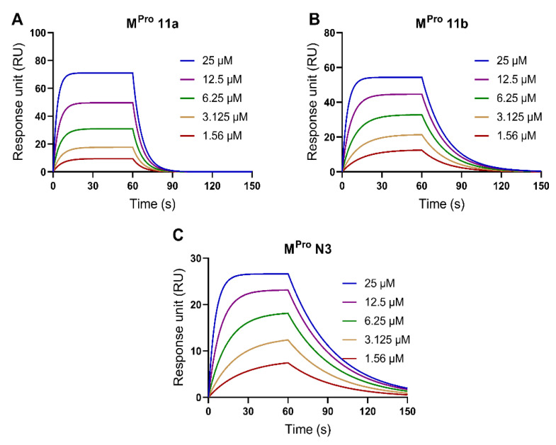 Validation of the SPR method to measure the binding affinities between the Mpro protein and several known SARS-CoV-2 Mpro inhibitors including Mpro 11a (A), Mpro 11b (B), and Mpro N3 (C).