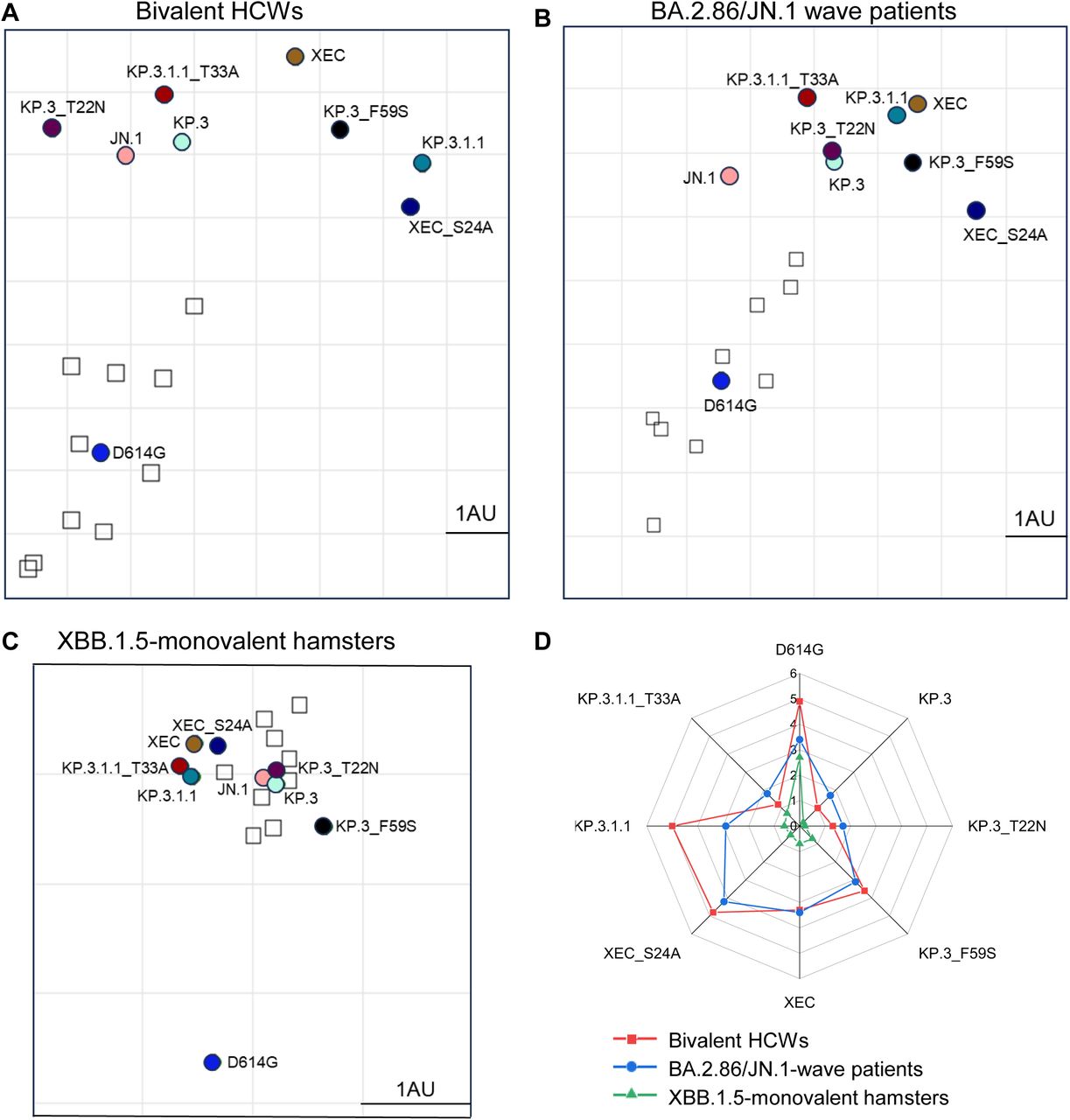 Analysis of antigenicity of XEC and related variants.(A-C) Antigenic cartography analysis was conducted for the nAb titers results for the bivalent vaccinated HCWs (A), the BA.2.86/JN.1 wave infected patients (B), and the XBB.1.5-monovalent vaccinated hamsters (C). One antigenic distance unit (AU) (AU = 1) represents an approximate two-fold change in NT50. Circles represent the different spike antigens while boxes represent individual sera samples. (D) The antigenic distances of each variant relative to JN.1 from three groups of cohorts (n=3) were averaged and plotted. The scale bar represents 1 antigenic distance unit (AU).