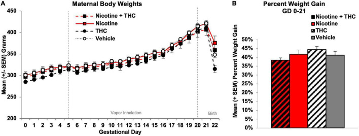 Neither maternal body weights (A) nor pregnancy weight gain (B) during gestation were significantly altered by prenatal exposure to nicotine, THC, or the combination via e-cigarettes.