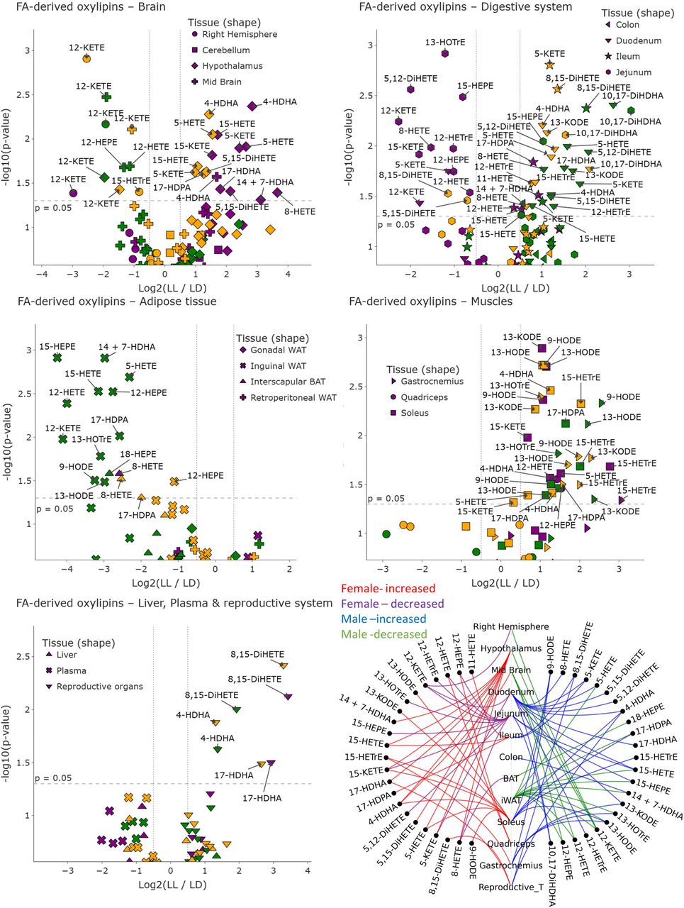 volcano plot of FA-derived Oxylipins; volcano plot showing differential levels of Fatty acid (FAs) derived oxylipins between LL and LD across all tissues analyzed. Each point represents one FAs-oxylipins measured in a specific tissue, with symbol shapes indicating the corresponding organ. Data are stratified by sex: females (purple), males (green), and combined (merged sex; yellow). The x-axis shows the log□ fold change (LL/LD) and the y-axis shows the –log□□(p-value). Molecules above the dashed horizontal line reached nominal statistical significance (p < 0.05). Labels highlight representative significant lipid mediators in each tissue. Chord Diagram (summary figure- of FA derived oxylipin changes; bottom right); Significant FA derived oxylipin changes across tissues in female and male mice under constant light exposure. Tissue nodes are aligned vertically, molecules appear on sex-specific arcs, and curves indicate LL-vs-LD regulation colored by sex and direction.