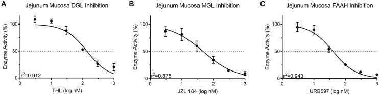 Activity of the MAG biosynthetic enzyme, DGL, in mouse small-intestinal epithelium was dose-dependently inhibited by the DGL inhibitor, THL (A) IC50 = 136.3 nM. Activity of the MAG degradative enzyme, MGL, in small-intestinal epithelium was dose-dependently inhibited by the MGL inhibitor, JZL 184 (B) IC50 = 47.62 nM. Activity of the FAE degradative enzyme, FAAH, in small-intestinal epithelium was inhibited by the FAAH inhibitor, URB597 (C) IC50 = 40.76 nM.