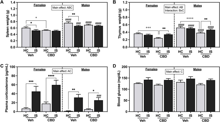 (A) Spleen weight, (B) thymus weight, (C) plasma corticosterone, and (D) blood glucose. Females are graphed to the left of the dashed line; males are graphed to the right of the dashed line. Data are presented as mean ± SEM; Symbols: A p < 0.05 (main effect of sex); B p < 0.05 (main effect of CBD); C p < 0.05 (main effect of IS); ### p < 0.001, #### p < 0.0001 (Fisher’s LSD post hoc effect of Sex); + p < 0.05, ++++ p < 0.0001, ++++ p < 0.0001 (Fisher’s LSD post hoc effect of CBD); *p < 0.05, **p < 0.01, ***p < 0.001, ****p < 0.0001 (Fisher’s LSD post hoc effect of IS). Vehicle group = Veh, Cannabidiol-rich hemp extract group = CBD, unstressed home cage controls = HC, inescapable tail shock = IS.
