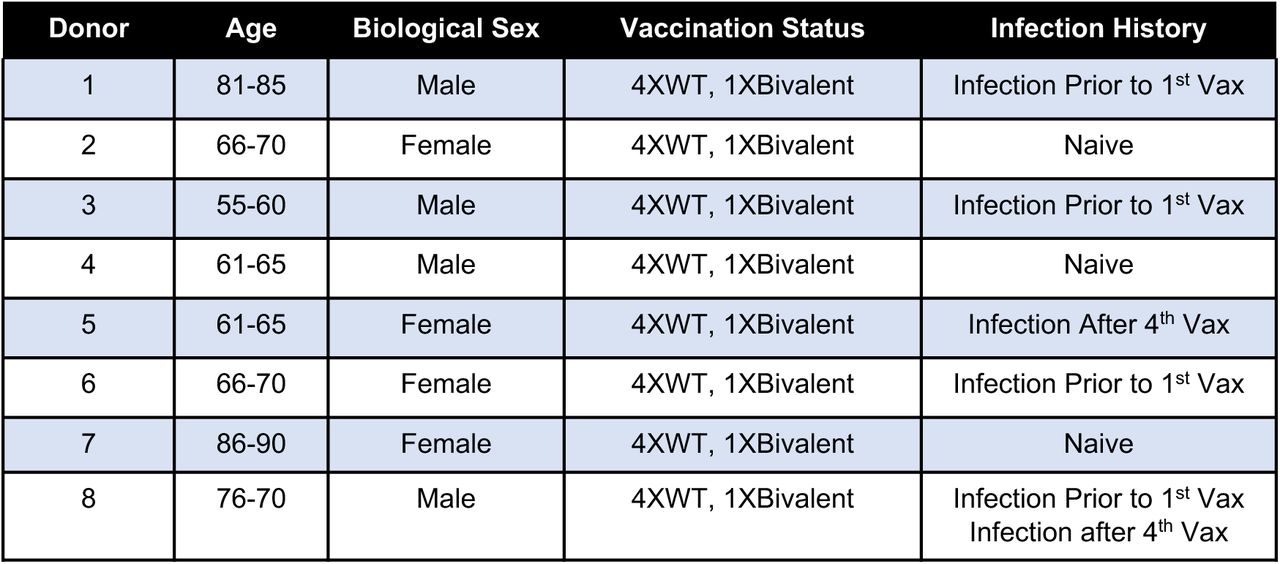 Demographics of longitudinal donor cohort.Table describing individual timepoints from 8 of the broadest neutralizing donors spanning 3-5 timepoints including those 2-4 weeks after vaccination as well as timepoints that were distant (Post) from the nearest vaccination (3-6 months post) from a cohort of Nursing Home Samples.