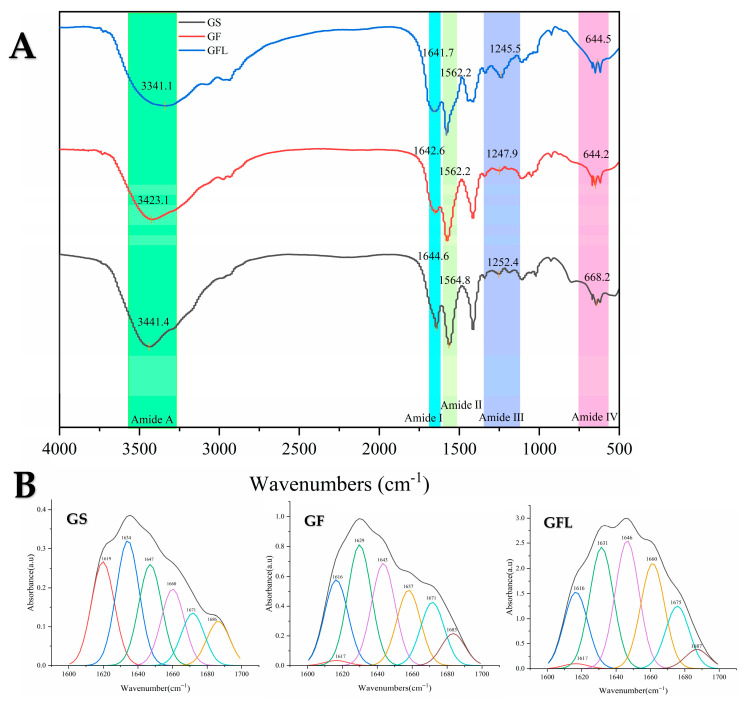 FTIR scan spectra (A) and protein secondary structure fitting diagram (B) of GS, GF, and GFL.