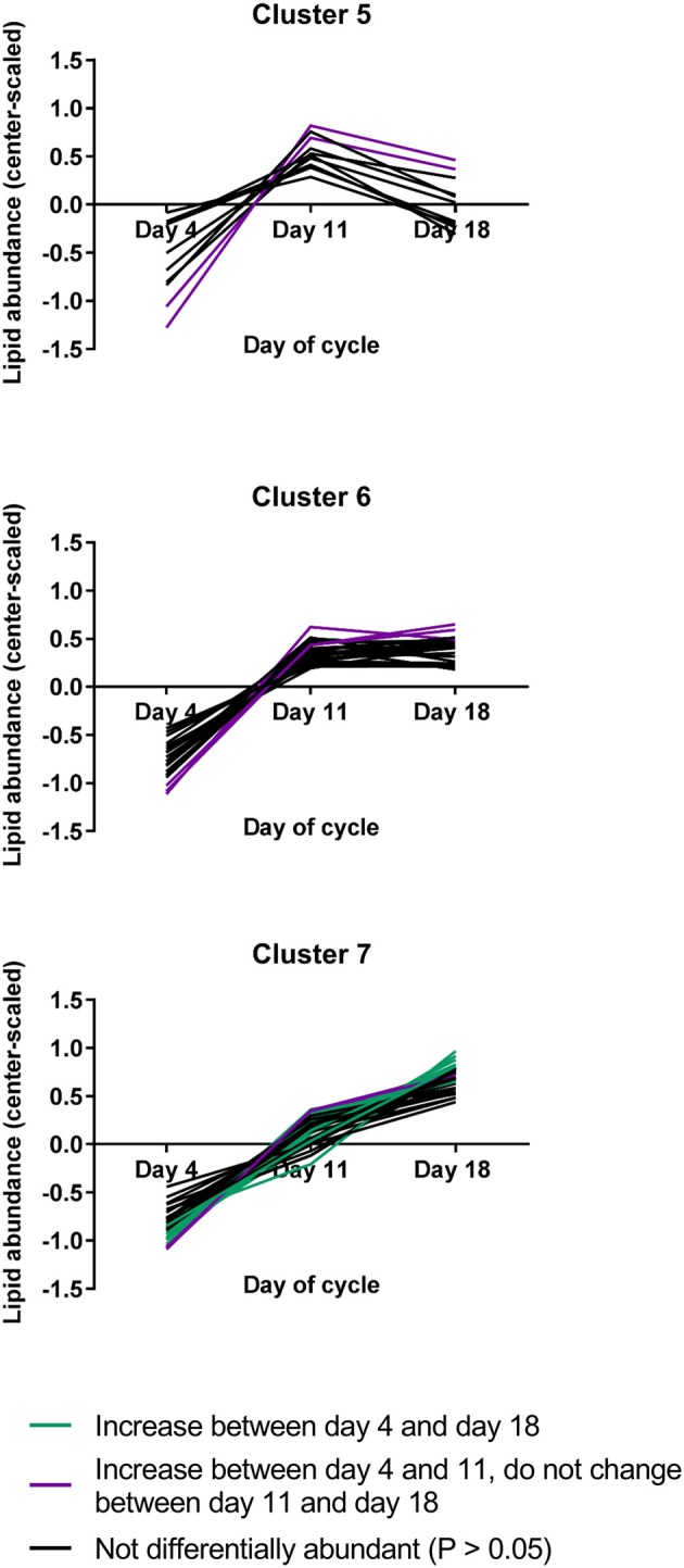 The three lipid abundance clusters that included lipids that changed during the estrous cycle (N = 4/group). Lipids that appeared to change but were not statistically differentially abundant are represented by black lines, while lipids that changed between days 4 and 11 are represented by purple lines and lipids that changed between days 4 and 18 are represented by turquoise lines.