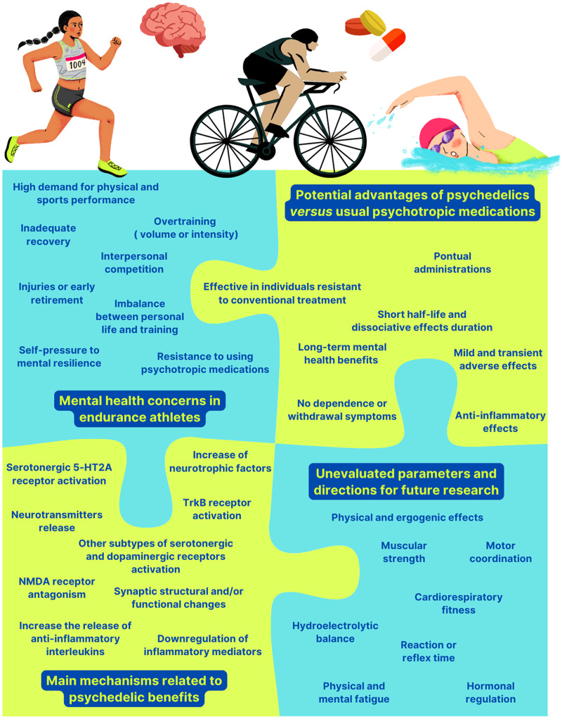 An overview of the current landscape of psychedelics and athletic performance.