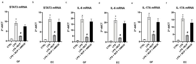 The graphs represent qPCR results of STAT3 (a), IL-6 (c), IL-17A (e) mRNA expression from GF cells and STAT3 (b), IL-6 (d), IL-17A (f) mRNA expression from EC cells. Values are expressed as the means and SD. * p < 0.0001 vs. CTRL; # p < 0.0001 vs. LPS.