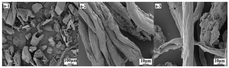 (a-1) SEM images showing microstructure differences for unprocessed eucalyptus bark (a-2), cellulose microfibrils after chemical treatment, and (a-3) CMC produced from the eucalyptus bark cellulose.