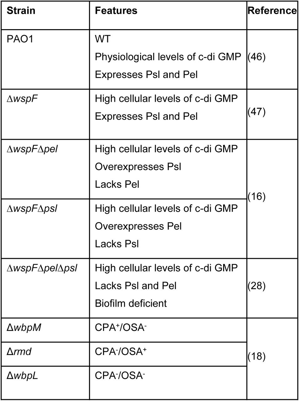 Strains used in this study
