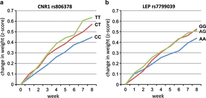 Gene variants predict weight gain across 8 weeks of risperidone treatment. (a) A greater risk for weight gain is conferred by T-allele dosage at cannabinoid receptor (CNR1) rs806378 (P=1.0 × 10−6). (b) The G-allele of leptin (LEP) rs7799039 acts dominantly to increase risk for antipsychotic-induced weight gain (P=1.4 × 10−4), whereas AA homozygotes are relatively protected.