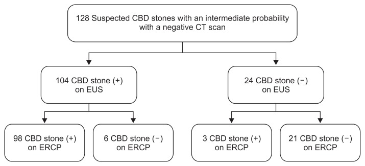 Suspected common bile duct (CBD) stones with a negative computed tomography scan. Patients with an intermediate probability; 101 of 128 patients (78.9%) had CBD stones, and endoscopic ultrasonography (EUS) indicated choledocholithiasis in 98 of 101 patients (97%).