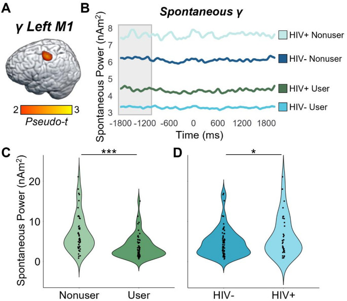 Group differences in spontaneous gamma power in the left primary motor cortex. (A): The grand-averaged map across both conditions and all participants indicated that the peak movement-related gamma response was centered on the motor hand knob of the left primary motor cortex (M1). The strength of the movement-related gamma oscillatory response (-75 to 75 ms) and the mean spontaneous gamma levels during the pre-movement baseline period were computed using data from the peak voxel of this cluster. (B): Spontaneous levels during the baseline period (-1800 to -1000 ms, gray shaded area) are plotted separately per group. (C): Spontaneous gamma activity was significantly weaker in chronic cannabis users relative to nonusers. (D): PWH exhibited significantly elevated spontaneous gamma activity relative to seronegative participants. No group differences or interactions were observed for the movement-related gamma response (-75 to 75 ms). *p ≤.05; **p ≤.005; ***p ≤.001