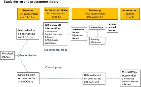 Study design and hypothesised causal relationships between the outcomes of the trial The GOOD life. Main outcomes to be studied are bolded