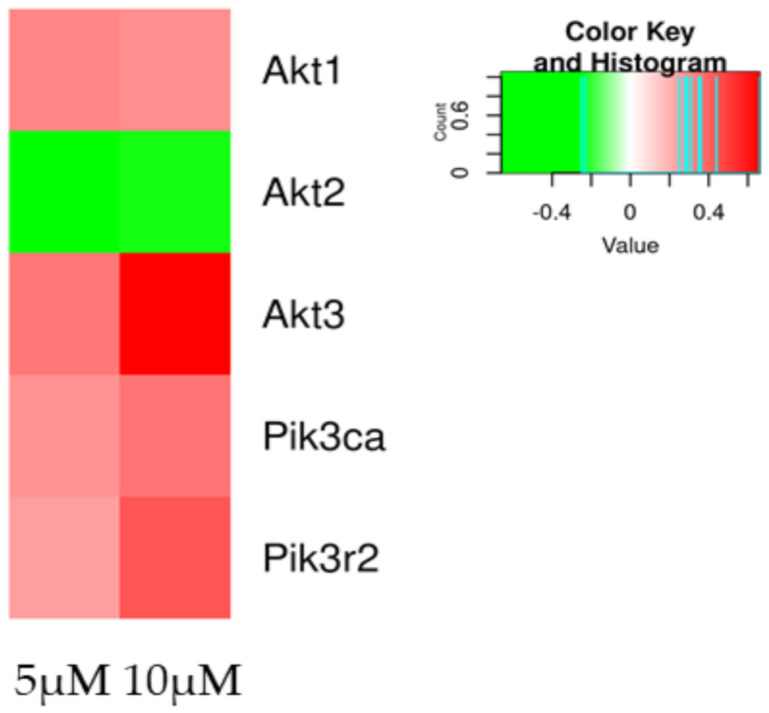 Heatmap of DEGs involved in the DEGs involved in the PI3K/AKT pathway genes in the comparison of CTRL vs. 5 µM (left column of each comparison) or CTRL vs. 10 µM (right column of each comparison). The green scale is related to downregulated genes, whereas the red palette represents upregulated ones. Gray is used when the difference is not statistically relevant in the comparison.