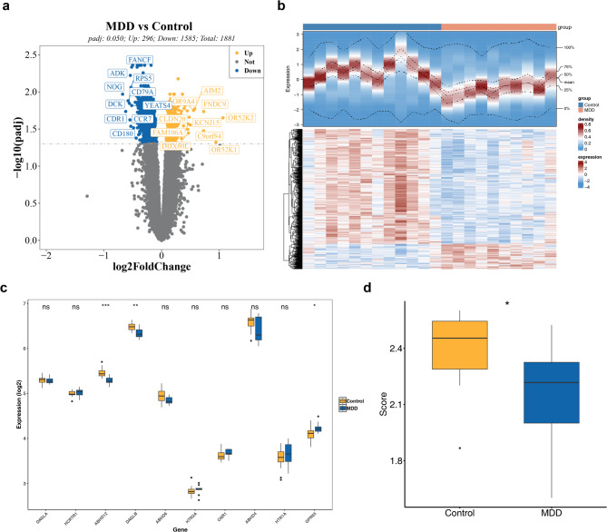 Expression and analysis of differentially expressed genes (DEGs) (a) Volcano plot of DEGs1. Each point corresponds to a gene; blue points indicate downregulated genes, yellow points represent upregulated genes, and gray points reflect genes with no significant difference. The dashed line marks the threshold for selecting DEGs. (b) Heatmap of DEGs: Each small square represents a gene. Darker colors denote higher expression levels (red for high expression and blue for low expression). (c) Box plot of gene expression: Yellow represents normal samples, while blue represents MDD samples. (d) Differences in ES-RGs scores between disease and control groups: Blue denotes MDD samples, and yellow represents normal samples. *:P < 0.050