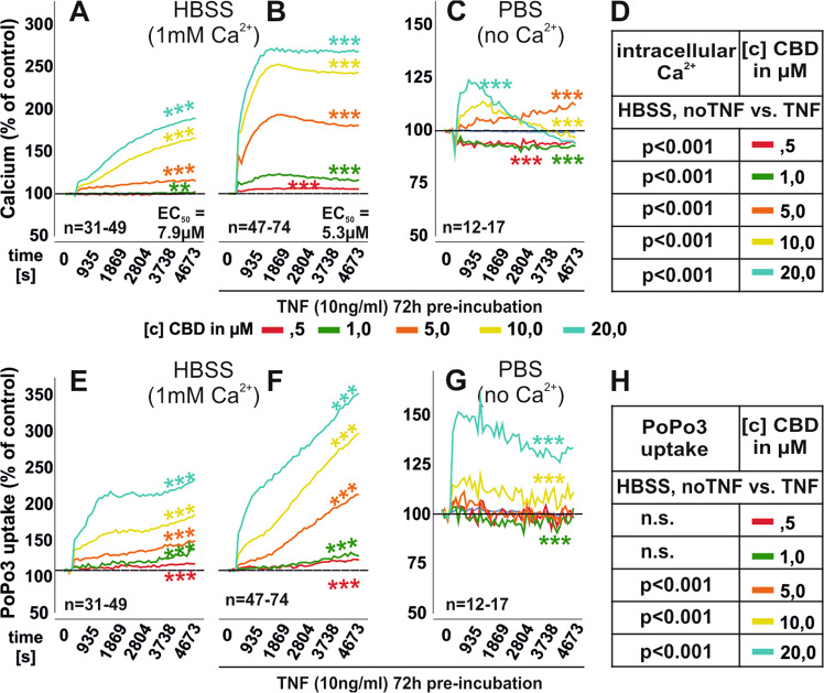 Mean intracellular calcium levels and PoP3 uptake of RASF in response to CBD.a–c Intracellular calcium mobilization of RASF after CBD challenge in HBSS (a, b) or without extracellular Ca2+ (PBS; c). The EC50 values obtained for the increase of intracellular calcium were significantly different (p < 0.001) between unstimulated and TNF-pre-stimulated RASF. e–g PoPo3 uptake by RASF after CBD challenge in HBSS (e, f) or without extracellular Ca2+ (PBS; f). RASF were pre-stimulated with TNF (b, c, f, g) or untreated (a, e). d, h Comparison between unstimulated and TNF pre-treated RASF regarding intracellular calcium levels (d) and PoPo3 uptake (h). n is the number of experiment replicates from 29 different patient samples (a, e), 38 patient samples (b, f), and 13 patient samples (c, g). ***p < 0.001, *p < 0.05 for differences between [c] of CBD. ANOVA with Dunnett’s T3 post-hoc test was used for all comparisons.