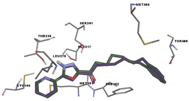 Rigid receptor docking (RRD) of the co-crystalized ligand at the active site of FAAH. It shows a cognate re-docked pose (purple) of JG1 compared with a co-crystallized pose (green).