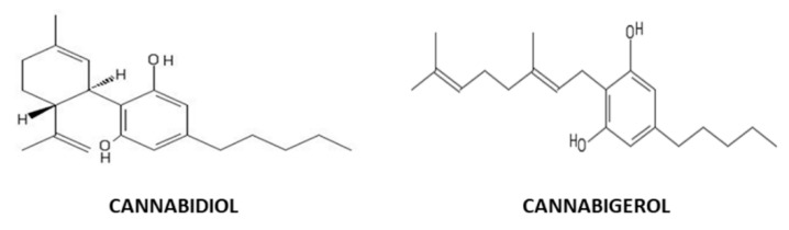 Cannabidiol (CBD) and cannabigerol (CBG) chemical structures, two non-psychotropic phytocannabinoids isolated from Cannabis sativa.