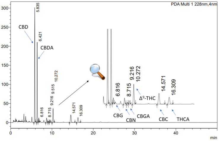 The chromatogram of cannabinoids in Cannabis inflorescences extracts: CBD (cannabidiol), CBG (cannabigerol), Δ9-THC ((-)-delta 9-tetrahydrocannabinol), and CBC (cannabichromene).