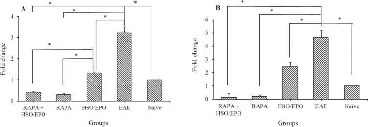 The fold changes in the mRNA expression of mTORC1 and IFN-γ genes in the lymphocytes. The expression of (A)RAPTOR and (B)IFN-γ in the HSO/EPO had a significant reduction compared with the EAE group. Data presented as mean ± SEM. *P value ≤ 0.05 is significant. mTORC1, mammalian target of rapamycin complex 1; IFN-γ, interferon gamma; RAPTOR, regulatory associated protein of TORC1; HSO/EPO, hemp seed oil/evening primrose oil; EAE, experimental autoimmune encephalomyelitis.