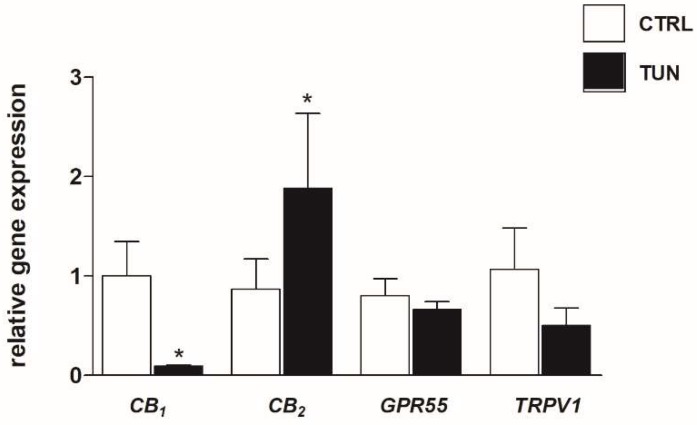 Effect of tunicamycin on mRNA expression of endocannabinoid (eCB)-binding receptors. SH-SY5Y cells were treated for 24 h with 1 µg/mL tunicamycin (TUN). Data are presented as means ± SEM (n = 3). [* p < 0.05 vs. control cells (CTRL)].