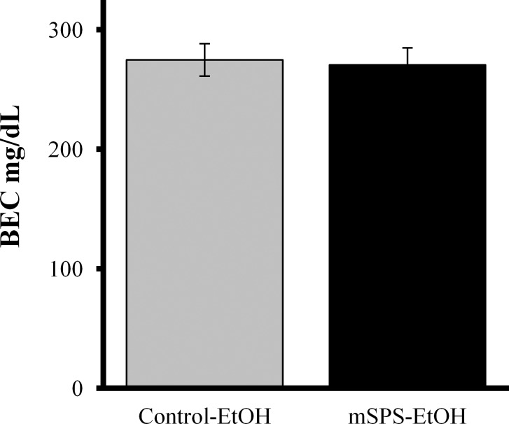 mSPS did not significantly alter BEC compared to control (p>0.05).