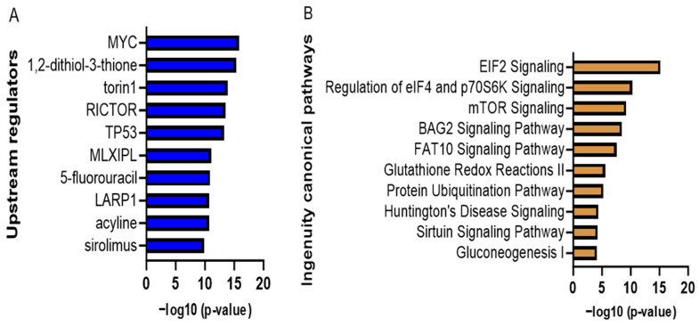Curcumin-modulated upstream regulators (A) and pathways (B) (ranked based on statistical significance). The adipocytes’ proteomics data were analyzed with IPA pathway analysis application. The EIF2 and mTOR pathways were upregulated (z-score: 3 and 1.342, respectively, p-value < 0.05), which was supported by the inhibition of the upstream regulator of Rictor and Sirolimus (z-score of −2.132 and −2.693, respectively, p-value < 0.05). GraphPad software was used for this visualization.