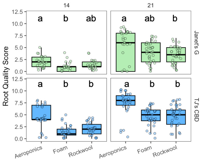 Root quality score compared across propagation systems—aeroponics, rockwool, and (horticultural) foam—using Cannabis sativa L. on day 14 (left panels) and 21 (right panels). Mean separation across propagation systems is indicated with letters, using Tukey’s Honest Significant Difference at p < 0.05.
