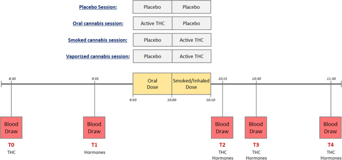 Schematic outline of the study procedures and blood sampling time-points.Each participant underwent four sessions during which placebo, oral THC, smoked THC, or vaporized THC was administred. The oral dose, either active or placebo, was always administered in the form of a brownie. Blood concentrations of total ghrelin, acyl-ghrelin, leptin, GLP-1, and insulin were assessed. GLP-1 glucagon-like peptide 1, THC tetrahydrocannabinol.