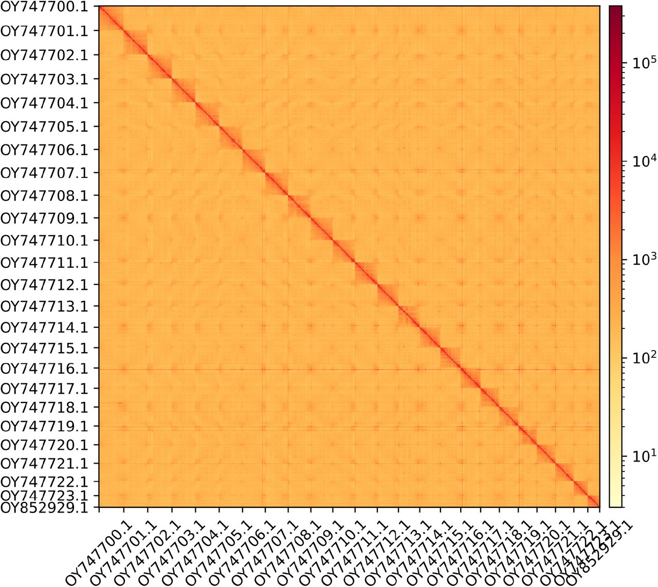 Hi-C contact map showing spatial interactions between regions of the genome.The diagonal corresponds to intra-chromosomal contacts, depicting chromosome boundaries. The frequency of contacts is shown on a logarithmic heatmap scale. Hi-C matrix bins were merged into a 100 kb bin size for plotting.