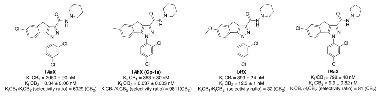 Structure of representative 1,4-dihydroindeno(1,2-c)pyrazoles (I). Affinities at CB1 and CB2 receptors were assessed by competition of (3H)-CP 55,940 in mouse cerebellum membranes and in mouse spleen homogenates, respectively [23]. Permission has been obtained and there is no copyright issue.