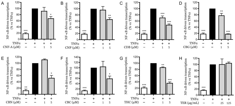 Inhibition of NF-κB-driven transcription by pure cannabinoids and terpenes in HaCaT cells. (A–G) NF-κB-driven transcriptional activity in HaCaT cells treated with CFN-A, CNP, and various cannabinoids at 5 µM in the presence of TNFα, measured by luciferase reporter assay. (H) NF-κB-driven transcriptional activity in HaCaT cells treated with a reconstituted terpene mix at high concentrations in the presence of TNFα. Data are expressed as mean ± SEM of three independent experiments. * p < 0.05, ** p < 0.01, *** p < 0.001 vs. TNFα-stimulated control.