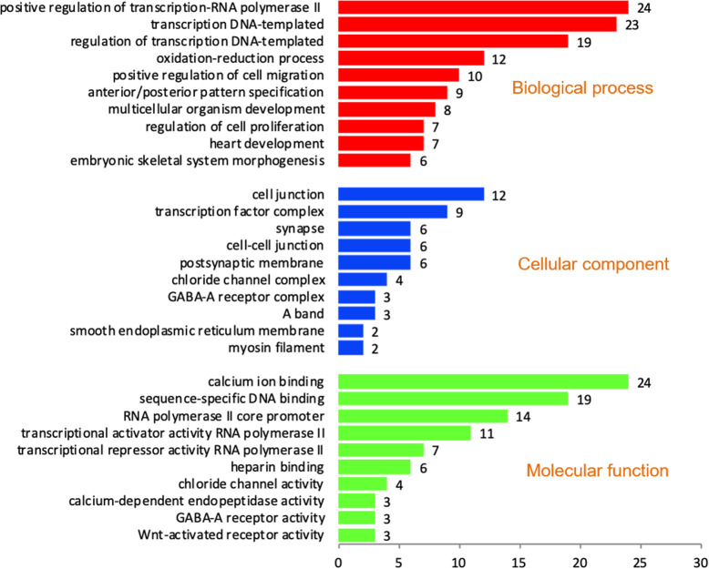 Functional classification of downregulated transcripts in the crossbred bulls based on the gene ontology terms