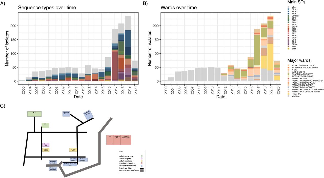 Uneven distribution of STs and cases at QECH wards indicate hospital-acquired infections.(A) Main STs and (B) wards the samples were derived from over time. (C) A schematic map of QECH with the wards samples of our study were derived from highlighted. AETC – Adult emergency and Trauma Centre; Paediatric A&E – paediatric accident and emergency; PICU – paediatric intensive care unit; HDU – high dependency unit.