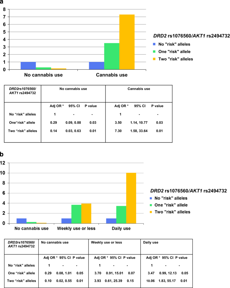 (a) Interaction between DRD2 rs1076560/AKT1 rs2494732 and lifetime cannabis use on psychosis risk. (b) Interaction between DRD2 rs1076560/AKT1 rs2494732 and lifetime frequency of cannabis use on psychosis risk. *Adjusted for gender, age, ethnicity, nicotine dependence, stimulants use, and harmful drinking behavior.