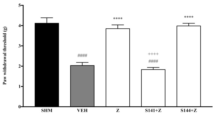 The effect of cannabinoid receptor antagonists’ co-administration with zerumbone on mechanical allodynia in CCI-induced neuropathic pain mice. Each column represents the mean ± SEM, n = 6 mice per group. #### p < 0.0001 as compared to the sham group, **** p < 0.0001 as compared to the vehicle group and ++++ p < 0.0001 as compared to the zerumbone-treated group. Sham (SHM), Vehicle (VEH: 10 mL/kg, i.p.), Zerumbone (Z: 10 mg/kg, i.p.), Antagonists; SR141716, CB1 (S141: 1 mg/kg, i.p.), SR144528, CB2 (S144: 1 mg/kg, i.p.).