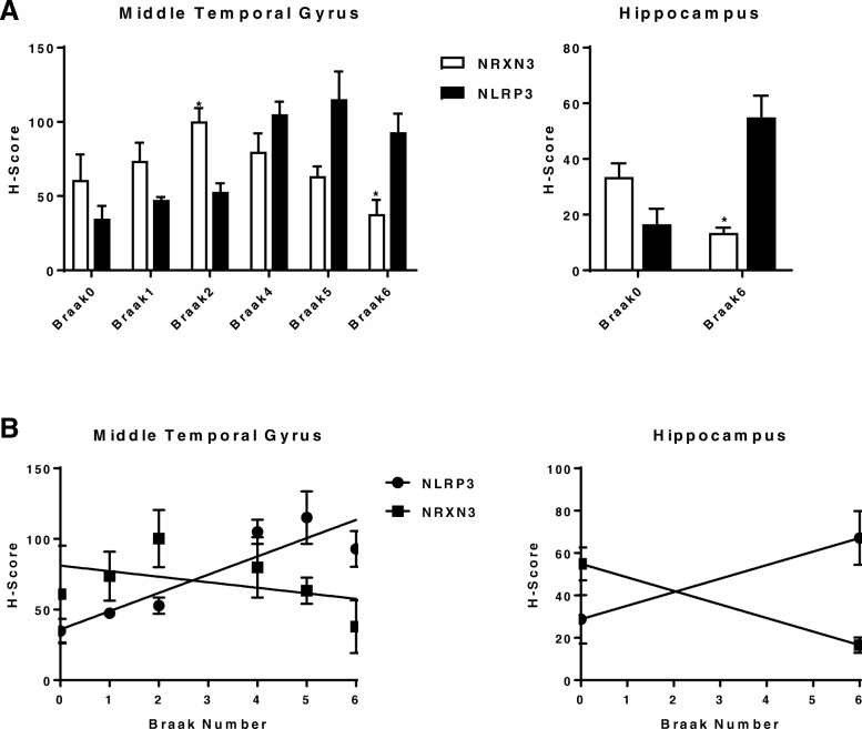 a Neuron expression of NRXN3 and NLRP3 in MTG and HIP of different Braak stages. b Linear regression of H-scores (Y-axis) of NRXN3 and NLRP3 with Braak numbers (X-axis) for MTG and HIP