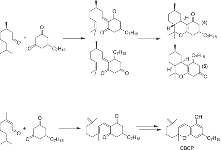 Top: plausible synthetic pathway to the α,β‐unsaturated ketones 4 and 5 starting from (R)‐citronellal. Bottom: same reaction pathway using E‐ or Z‐citral as the aldehyde leads to CBCP.