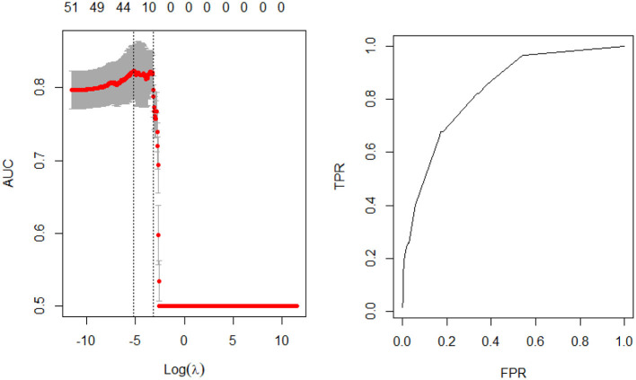 Model performance—female cohort.