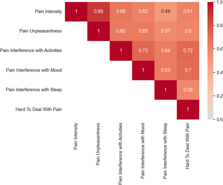 Correlation matrix for neuropathic pain characteristics. Darker red colors reflect greater positive correlations compared to lighter red.