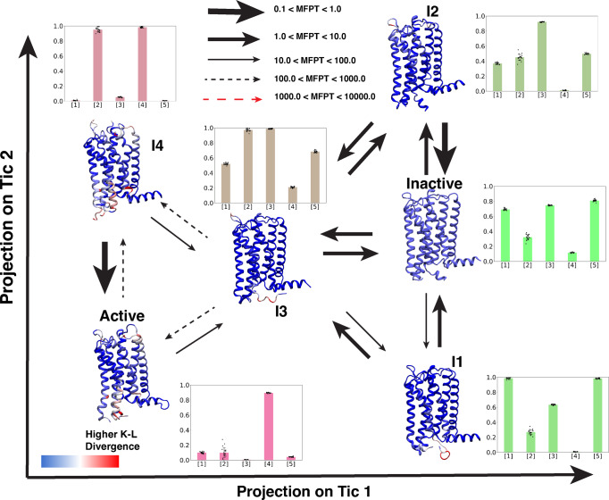 Mean first passage time and important structural changes in CB2 activation ensemble.Representative structures from six CB2 metastable states obtained from VAMPnets are projected on tic 1 and tic 2 spaces. Cartoon representations of receptors are colored based on K-L divergence. Red color is representing higher K-L divergence. K-L divergence of each metastable state was calculated compared to inactive metastable state. Transition between metastable states are shown as arrows. Thickness of the arrows represents mean free passage time (MFPT) of the transition which was calculated using transition path theory (TPT). Red dashed line is representing the slowest transition. The unit of MFPT is in microseconds. Bar plots per metastable state shows the normalized values of important structural features, where [1], [2], [3], [4], [5] represent extracellular TM1 movement, toggle switch rotational movement, intracellular TM5 movement, intracellular TM6 movement, intracellular TM7 movement respectively. Errors in bar plots were calculated based on bootstrapping. 20 bootstrap samples were prepared by selecting 1000 frames from each metastable states. Bar plots and error bars represent mean and standard deviation of the 20 samples, respectively. Each sample is shown on the plot as black dot.