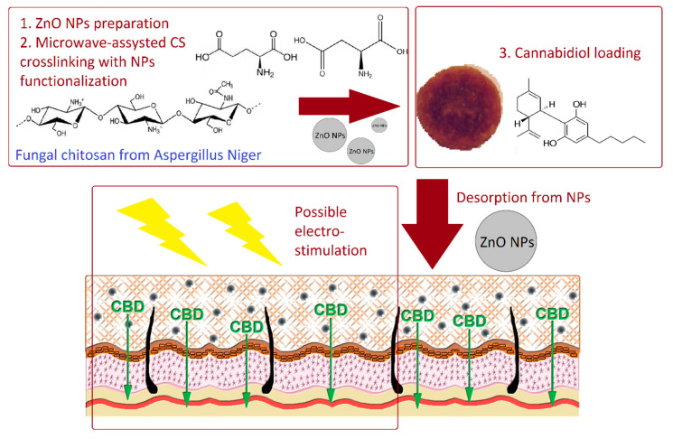General scheme for transdermal delivery system preparation and potential application.