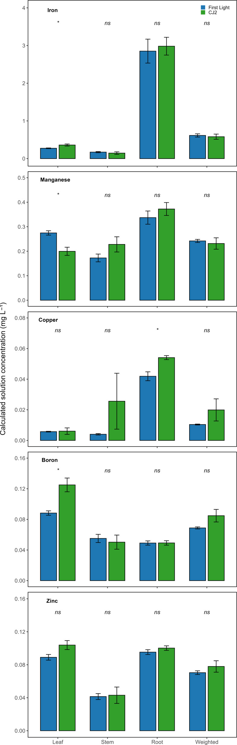 Bar charts display concentrations of iron, manganese, copper, boron, and zinc in plant tissues under “First Light” and “CJ2” conditions. Bars represent tissues: leaf, stem, root, and weighted. “First Light” bars are blue, “CJ2” bars are green. Statistical significance is marked with “ns” for not significant and “*” for significant differences. Error bars indicate variability.