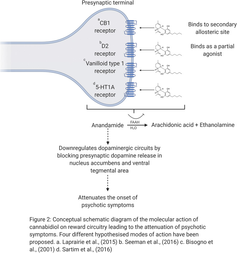 Conceptual schematic diagram of the molecular action of cannabidiol on reward circuitry leading to the attenuation of psychotic symptoms. Four different hypothesised modes of action have been proposed. (a) Laprairie et al. 2015. (b) Seeman (2016). (c) Bisogno et al. (2001). (d) Sartim et al. (2016)