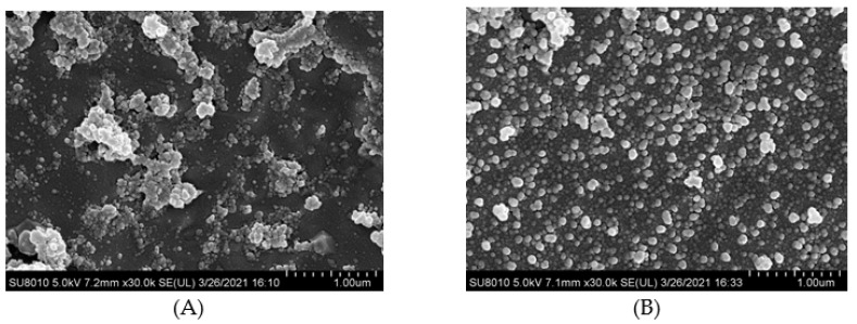 Cryo-scanning electron microscope images of HPI and covalent HPI-EGCG complexes at EGCG concentrations of 1, 2, 3, 4, and 5 mM. (A) HPI, (B) HPI-1 Mm EGCG, (C) HPI-2 mM EGCG, (D) HPI-3 mM EGCG, (E) HPI-4 mM EGCG, and (F) HPI-5 mM EGCG.