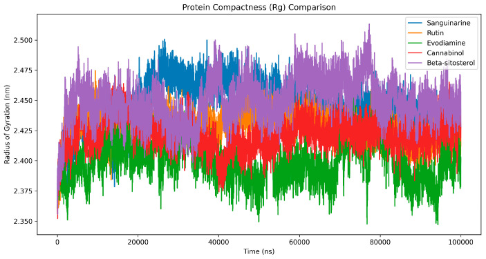 Analysis of Radius of Gyration (Rg) of ODC–Ligand Complexes. Time variation in the radius of gyration (Rg) values in the case of ODC complexes formed with Sanguinarine, Rutin, Evodiamine, Cannabinol, and β-sitosterol during a 100-nanosecond molecular dynamics simulation. ODC exhibited relatively stable Rg values, indicating that the protein remained compact. However, the value of Rg for evodiamine is relatively smaller, suggesting a more compact structure.