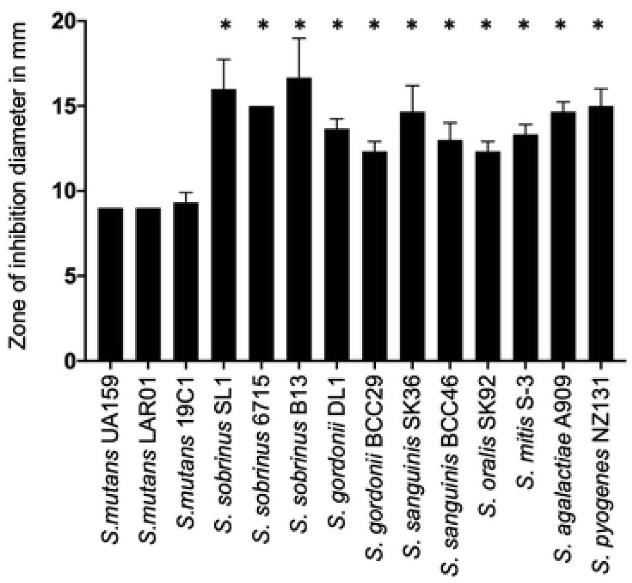 Disc diffusion assay indicating that S. mutans is inherently more tolerant to Zn than are other streptococci. Cultures were grown to mid-exponential phase, spread onto BHI plates, and topped with filter paper discs saturated with 1 mM ZnSO4. Growth inhibition zones (in mm) around the discs were measured after 24 h incubation at 37°C in 5% CO2. A p value of <0.05 was considered significant (*).
