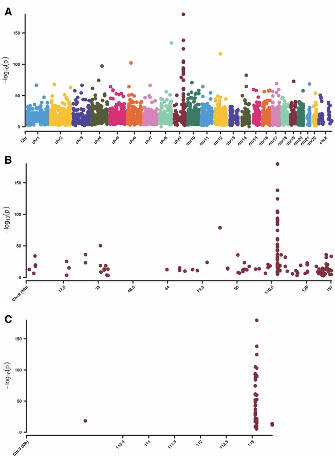 Manhattan plots of the genome-wide differentially methylated sites (DMS) found in the case versus control group. All sites on these plots are significant. Significance is defined as percent methylation difference >25% and an adjusted P-value (q-value) <0.01. The y-axis represents the −log10(adjusted P). (A) Manhattan plot of all autosomes and the X chromosome. (B) Manhattan plot of only chromosome 9, depicting the ‘hotspot’ region on the distal q arm. (C) Manhattan plot of only the chromosome 9 ‘hotspot’ region ranging from chr9:113059999-113089725.