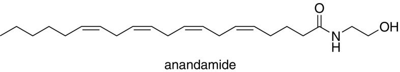 The structure of anandamide